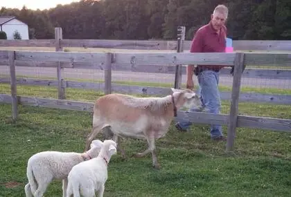William Darpino, founder of Sunshine Farm Sanctuary